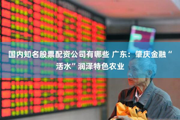 国内知名股票配资公司有哪些 广东：肇庆金融“活水”润泽特色农业